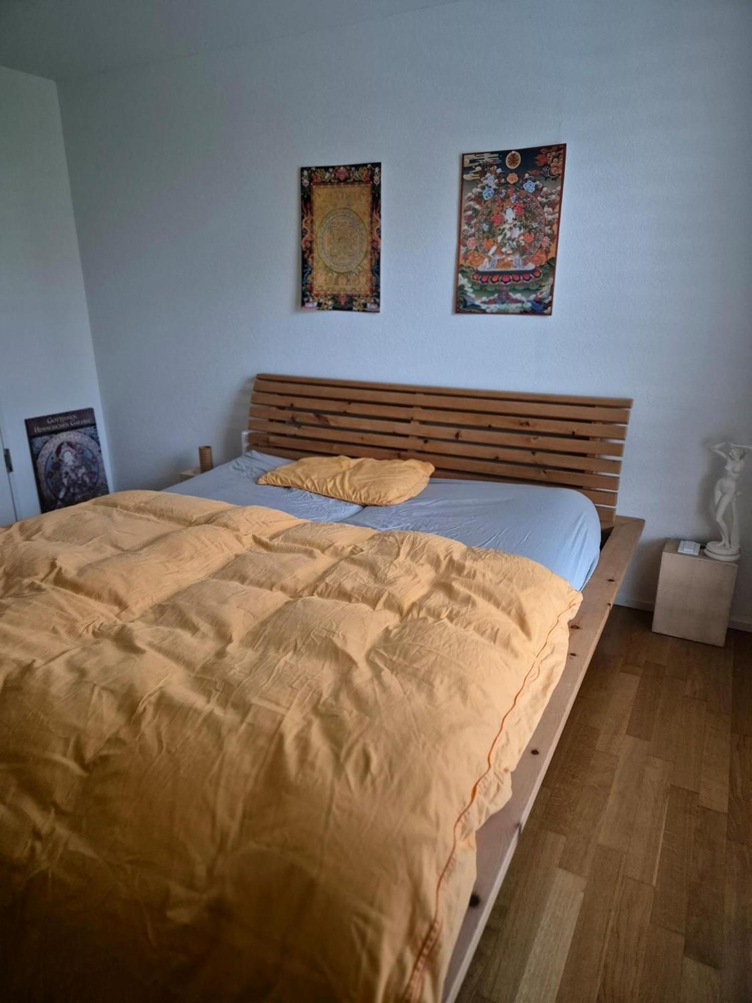 Zimmer In Penthouse-Wohnung Windisch Rom bilde