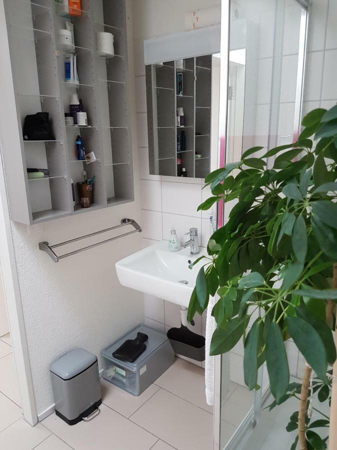 Zimmer In Penthouse-Wohnung Windisch Eksteriør bilde
